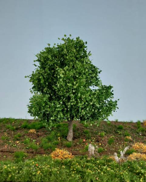 Kastanie Profiline Sommer H0/TT/N/Z